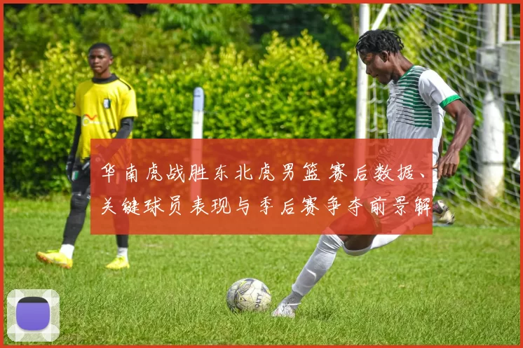 华南虎战胜东北虎男篮 赛后数据、关键球员表现与季后赛争夺前景解读