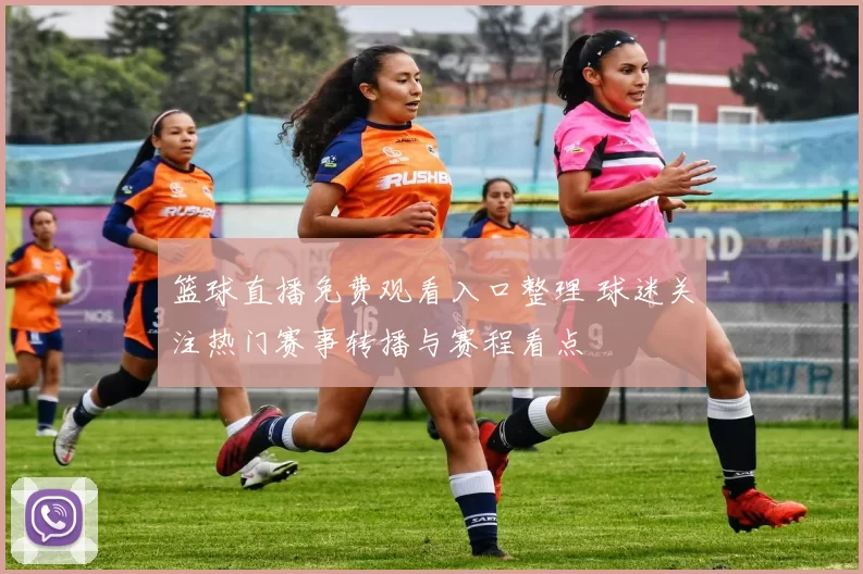 篮球直播免费观看入口整理 球迷关注热门赛事转播与赛程看点