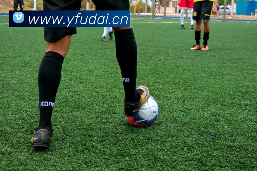 德甲直播观看指南出炉 主流平台与赛程安排一览